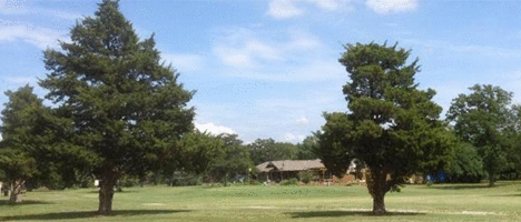 Site Picture