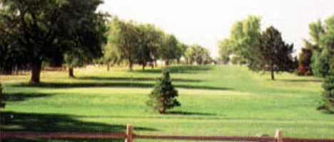 Site Picture