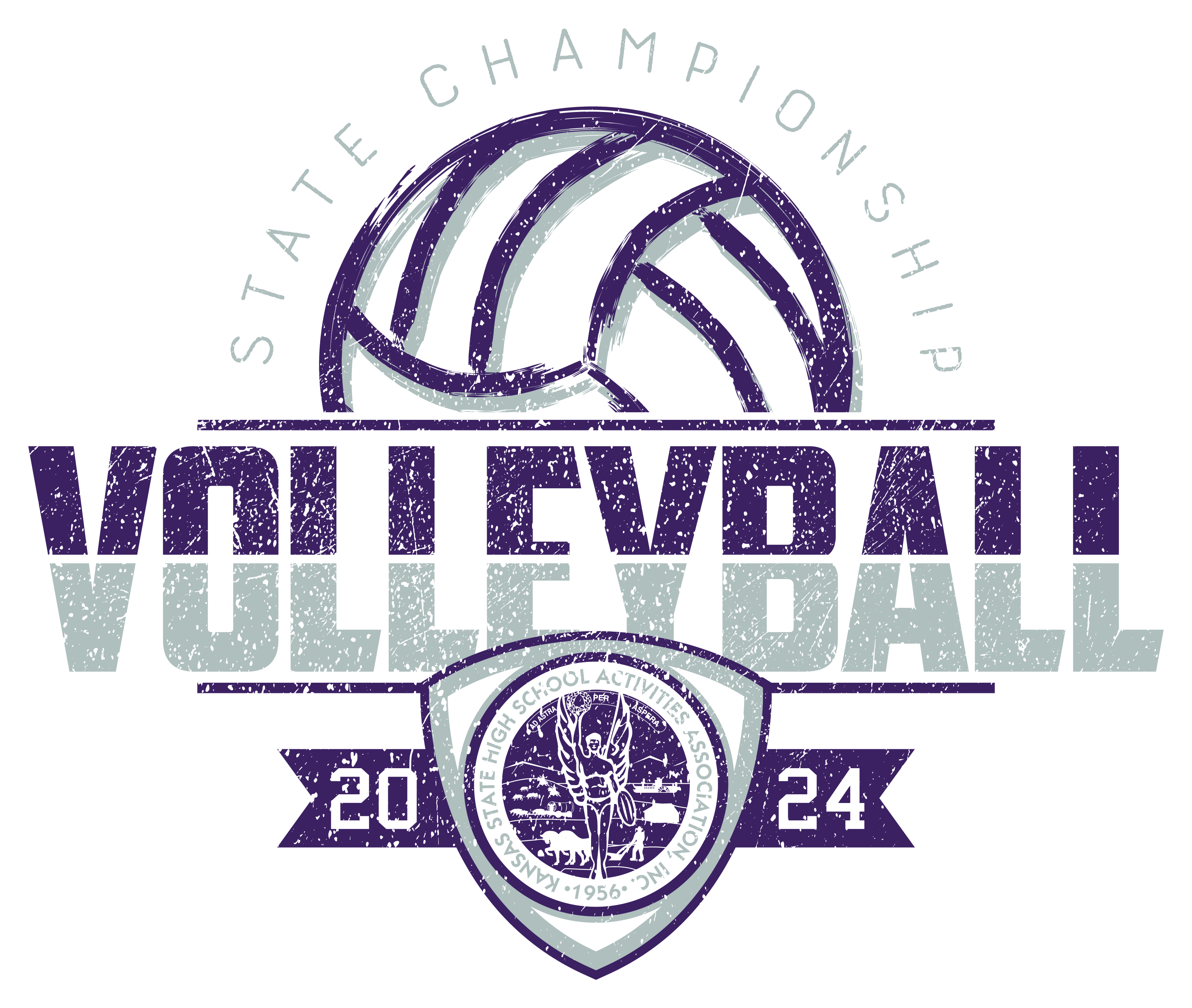 Volleyball T-Shirt Image