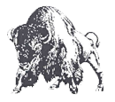 Mascot