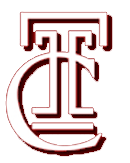 Mascot